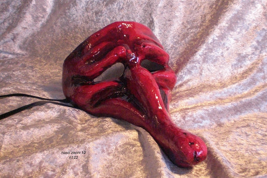 Naso Pulcinella 3
